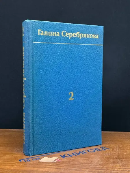 Художественная литература Г. Серебрякова. Собрание в 6 томах. Том 2