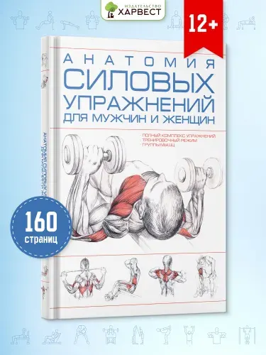 Анатомия силовых упражнений для мужчин и женщин