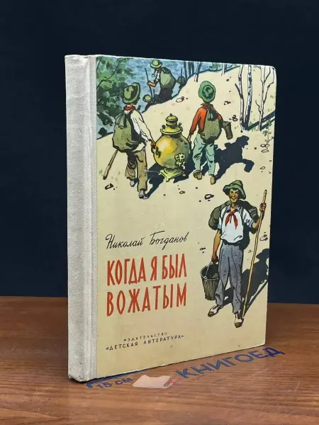 Детская литература Когда я был вожатым