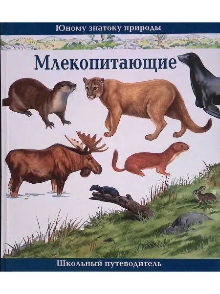 Тимошка Млекопитающие. Школьный путеводитель