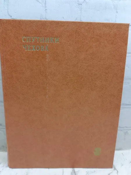 Не указаны Спутники Чехова