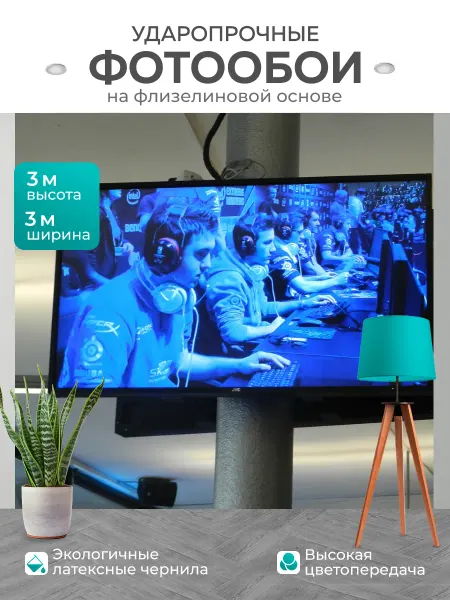 LotsPrints Фотообои "Игра, монитор, конкурс" 3x3м