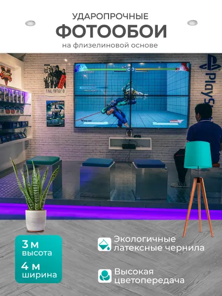 LotsPrints Фотообои "Игровая приставка, игра, телевизор" 4x3м