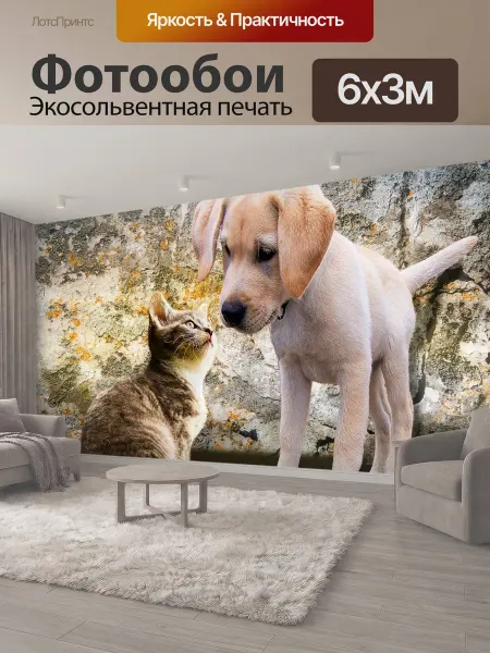 LotsPrints Фотообои "Животные, собака, кот" 6x3м