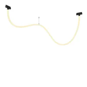 MAYTONI Трековый подвесной светильник LED TR101-2-50W3K-B