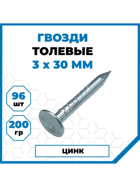 СТРОЙМЕТИЗ Гвозди толевые оцинкованные 3х30 мм, 200 гр