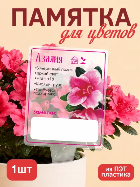 KRASNIKOVA Памятка по уходу за цветами Азалия