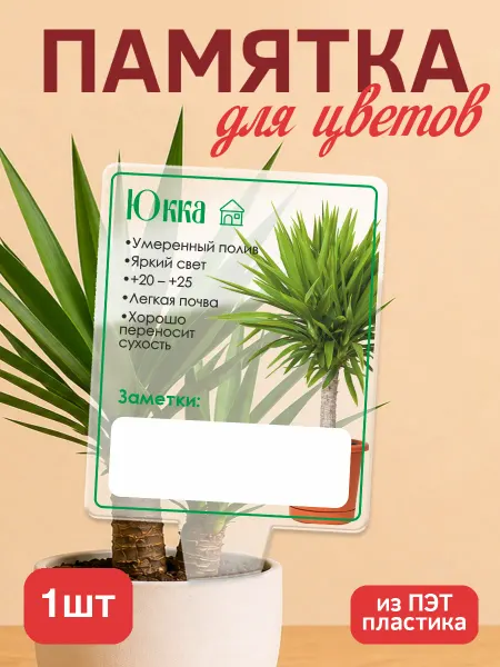 KRASNIKOVA Памятка по уходу за цветами Юкка