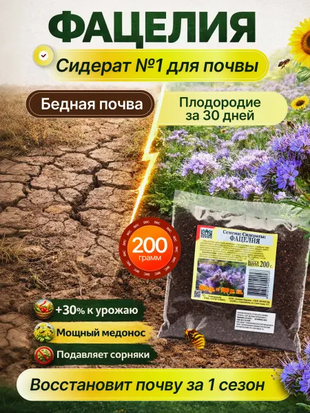 Фацелия сидерат семена