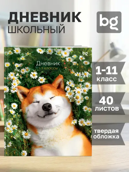 BG Дневник школьный 1-4 5 11 класс