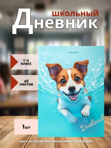 Brauberg Дневник школьный 1-4 класс
