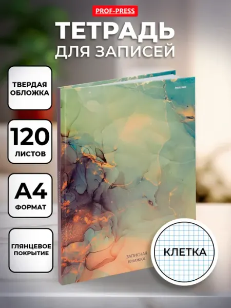 Prof-Press Тетрадь А4, 120 листов