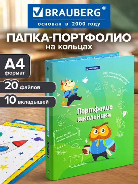 Brauberg Портфолио школьника, папка А4 на кольцах мальчику, 20 файлов