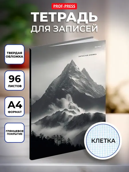 Prof-Press Тетрадь А4, 96 листов