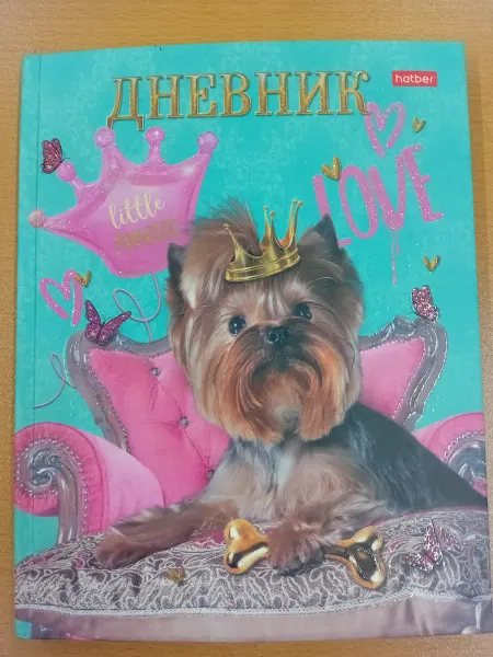 Hatber Дневник школьный. "Little princess"