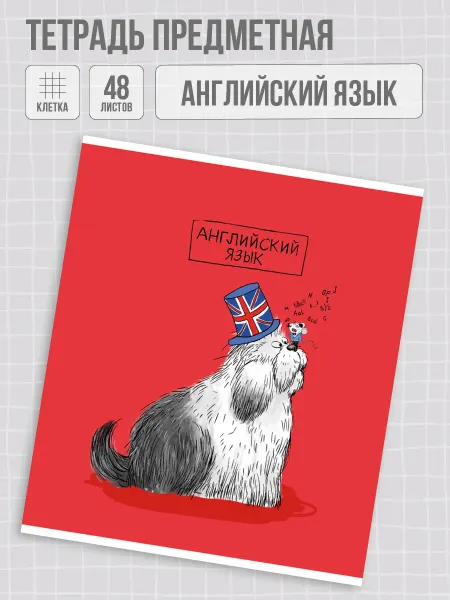 Феникс+ Тетрадь предметная английский язык 48л