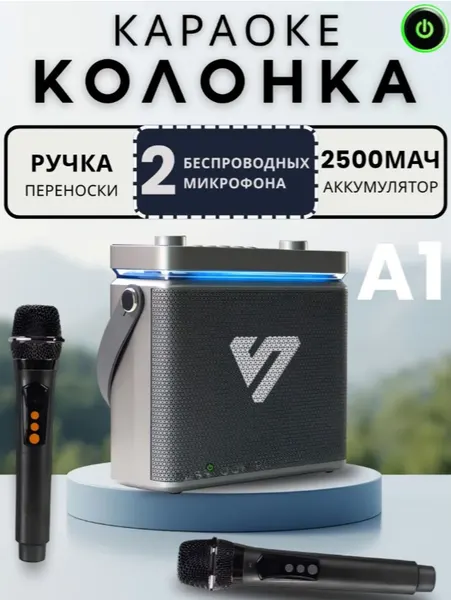 Bluetooth колонка SHENGYOU A1 45 Вт, портативный динамик с двумя микрофонами