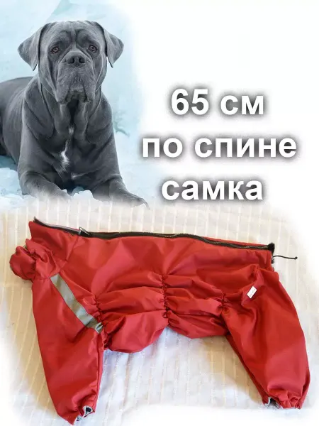 SCHATZ Комбинезон зимний для собак крупных пород девочка 65см