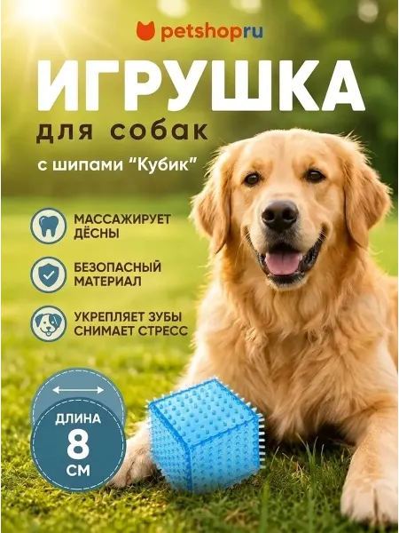 PetShop Игрушка для собак с шипами "Кубик", 8 см