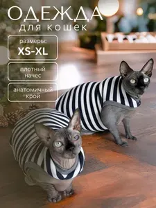 Одежда для кошек Emmy Stil кота, котенка, сфинкса