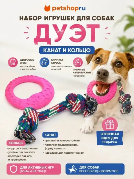 PetShop Игрушки для собак канат и кольцо Дуэт", 2 шт
