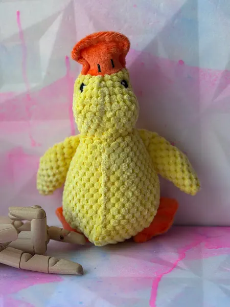ZevKri Игрушка утка для собак