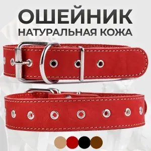 АРКОН Ошейник из натуральной кожи