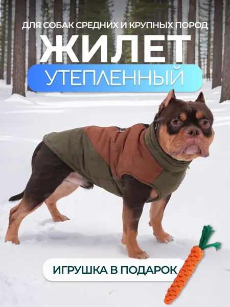 РЫЖИЙ ХВОСТ! Жилет утеплённый для собак средних и крупных пород