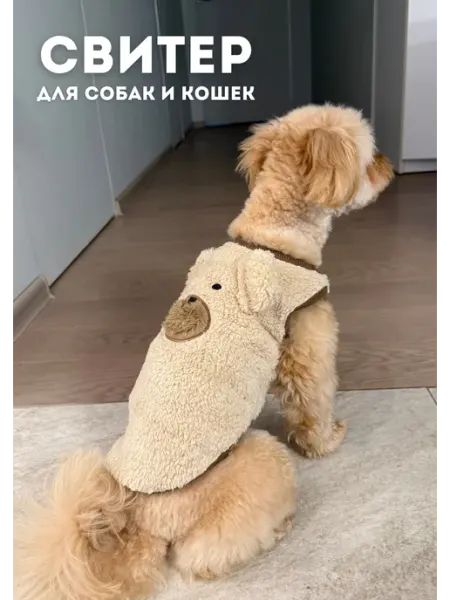 Плюшевый свитер для собак и кошек «Медвежонок»
