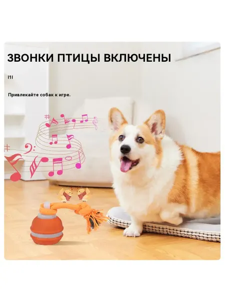 Удобные игрушки для собак