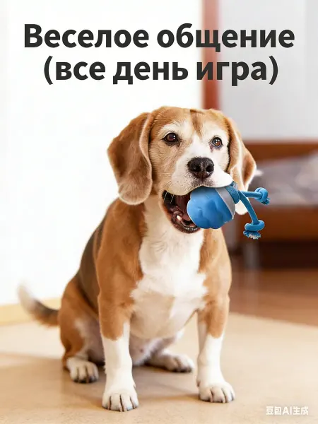 Удобные игрушки для собак