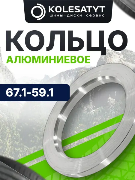 Китай Кольцо алюминиевое (67.1-59.1)