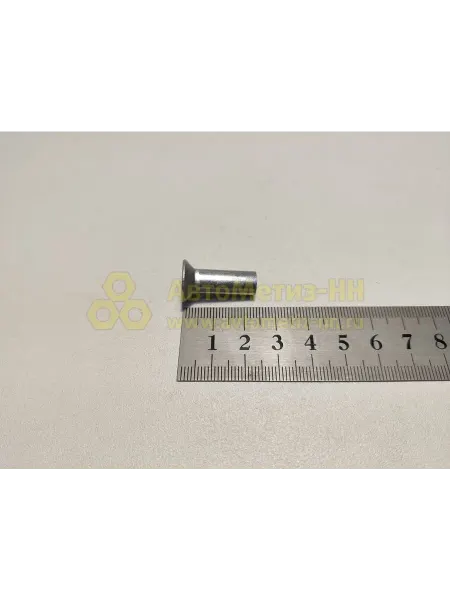 Нет бренда Заклепка тормозная ПАЗ ЗИЛ-4314пер, Икарус26064шт