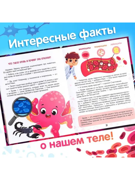Образовательная книга для детей как устроен человек