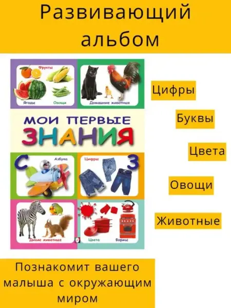 Фламинго Детские развивающие книги для малышей Мои первые знания