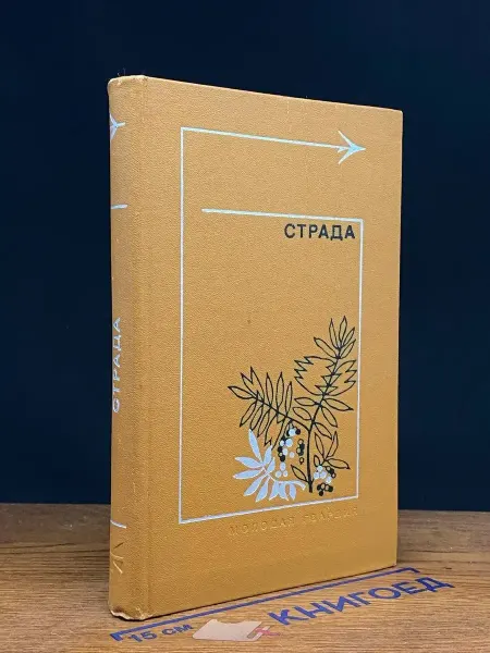 Молодая гвардия Страда. Повести, рассказы