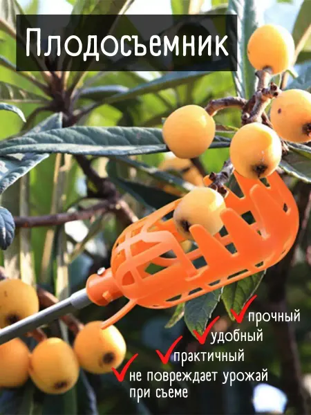 Мастер на все руки Плодосъемник, Плодосборник без черенка