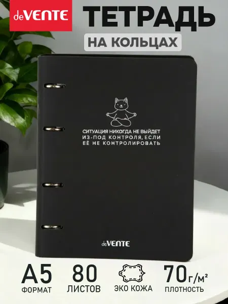 DeVENTE Тетрадь на кольцах А5 80 листов в клетку