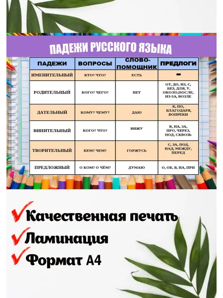 Обучающий плакат по русскому языку падежи