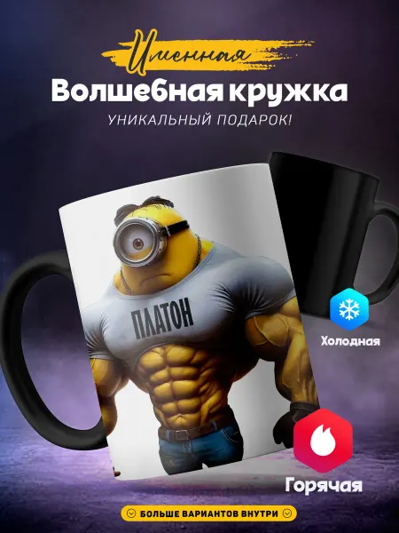 SIMPLE GIFT Мужская кружка хамелеон Платон мужик качок и спортсмен