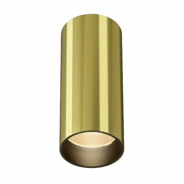 MAYTONI Светильник потолочный FOCUS LED C056CL-L12W2.7K-W-BS