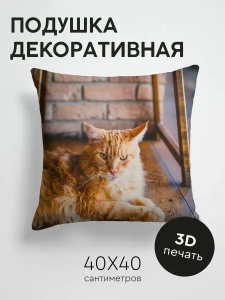 365home Подушка декоративная, 40x40см Животные кот