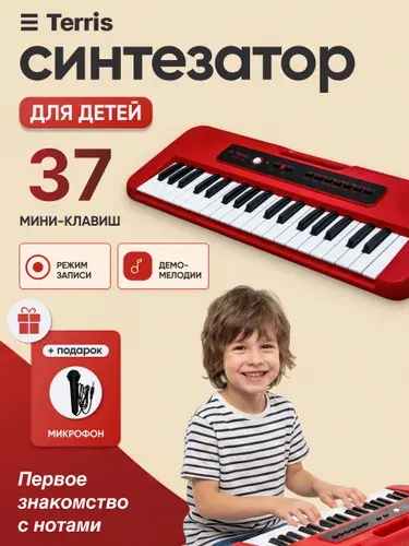 Terris TK-110 RD - Синтезатор 37 мини-клавиш, микрофон в комплекте
