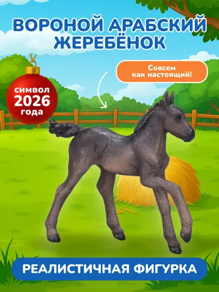 Konik Фигурка-игрушка Арабский жеребенок