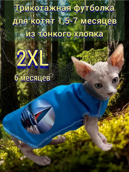 АNY PET Футболка-майка для котят хлопок 2XL