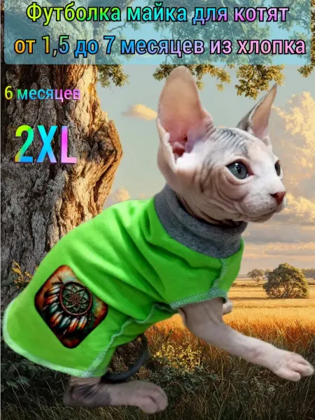 АNY PET Футболка-майка для котят хлопок 2ХL
