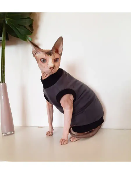 GARB123 Футболка майка для кошек сфинкс, одежда для сфинксов