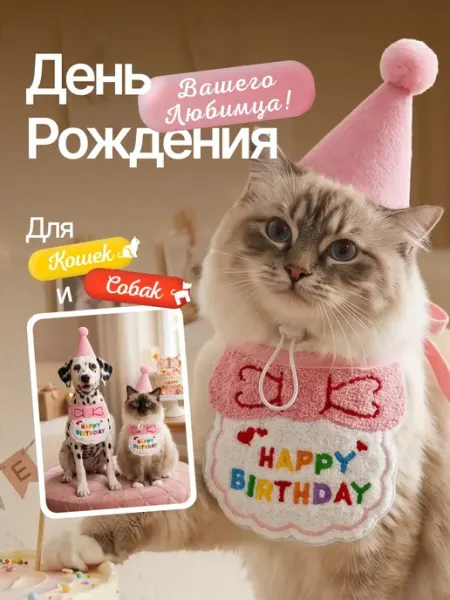 Костюм для кошек и собак праздничный на день рождения