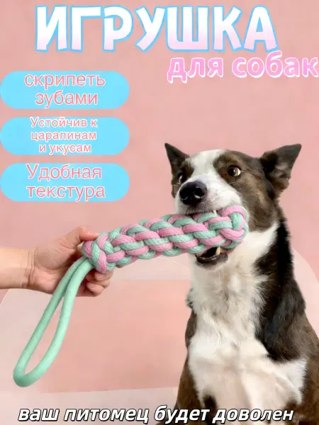 Игрушка канат для собак мелких и средних пород для зубов