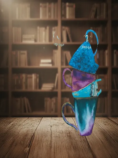 Книги из прошлого СОЛО. Книга